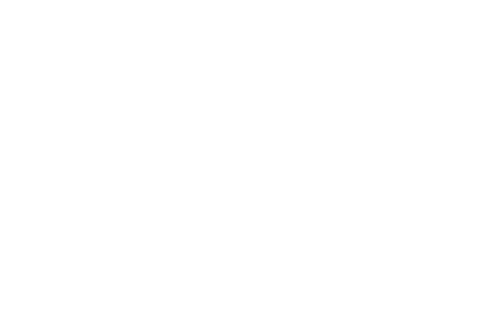 Ali-Aydin-Logo-grün-gold